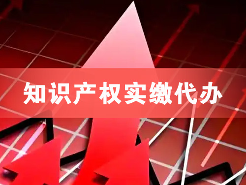 雷州知识产权实缴资本代办